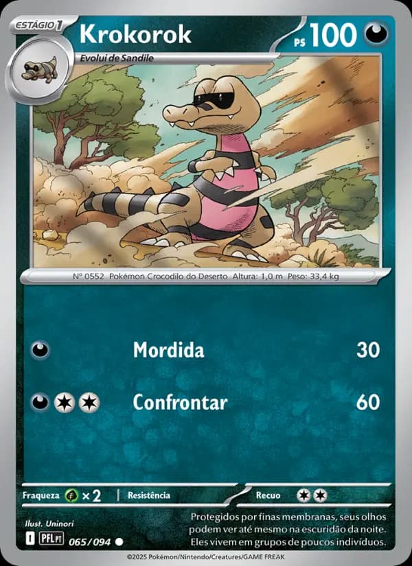 Krokorok (65/94)