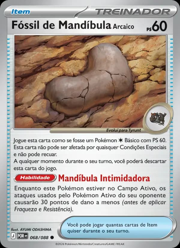 Fóssil de Mandíbula Arcaico (68/88)