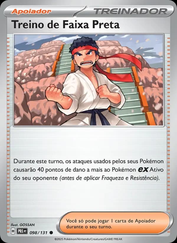 Treino de Faixa Preta (98/131)