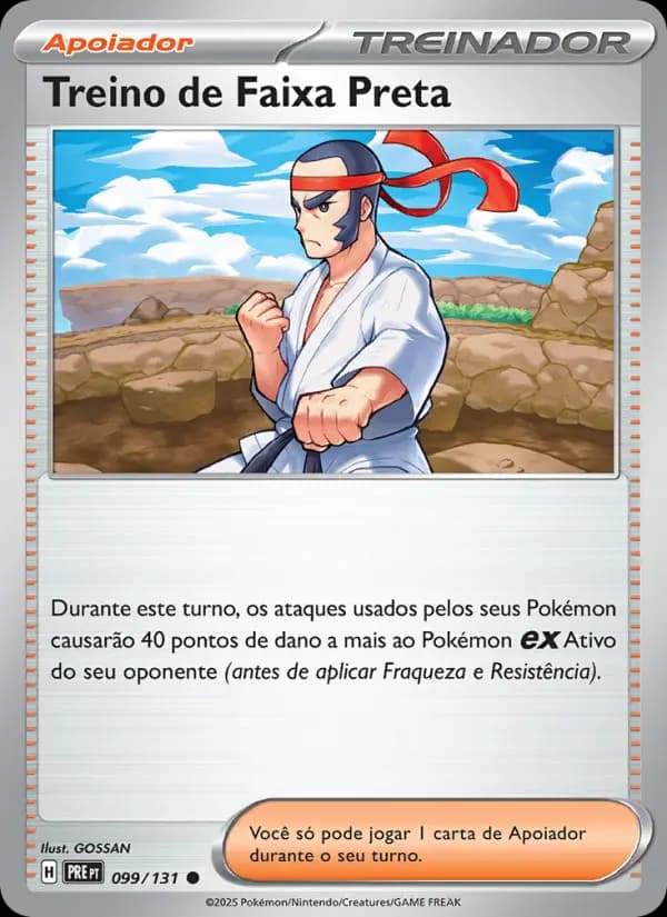 Treino de Faixa Preta (99/131)