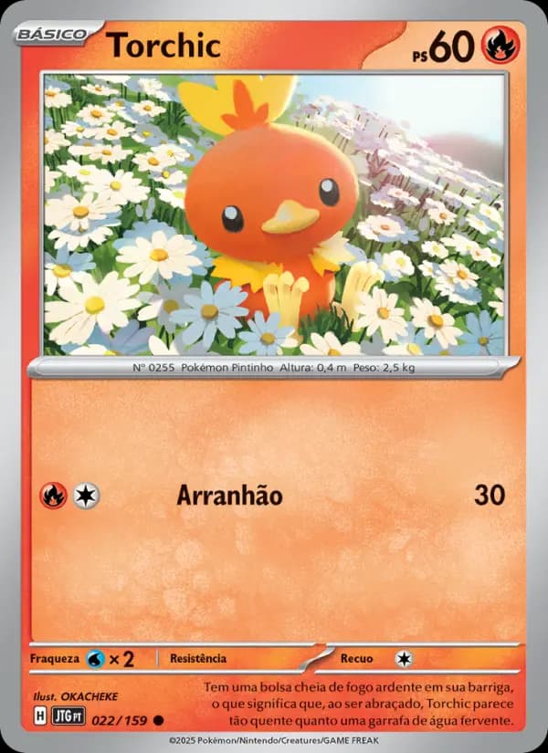 Torchic (22/159)