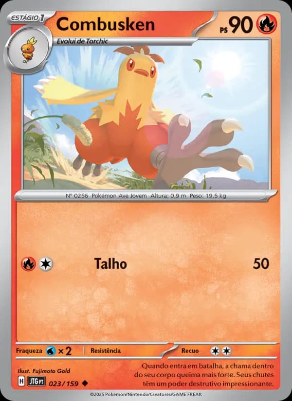 Combusken (23/159)