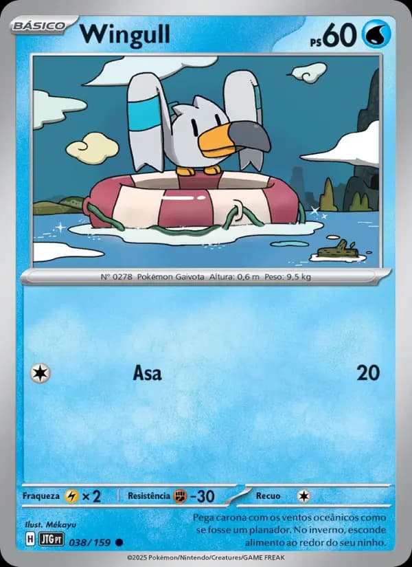 Wingull (38/159)