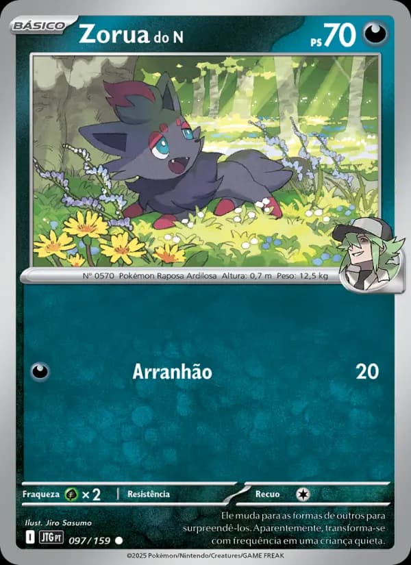 Zorua do N (97/159)