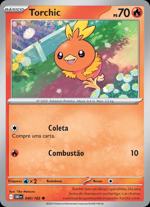 Torchic (40/182)