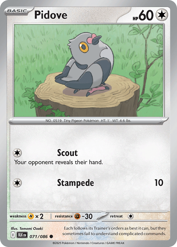 Pidove (71/86)