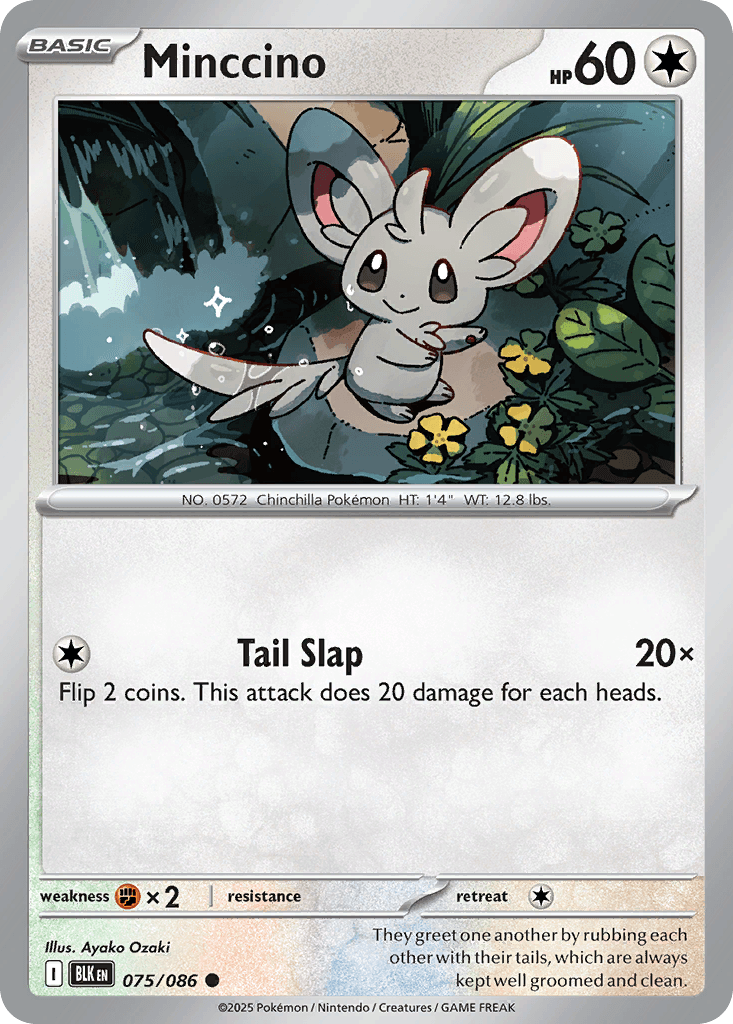 Minccino (75/86)