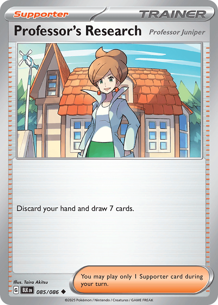 Professor's Research (85/86)