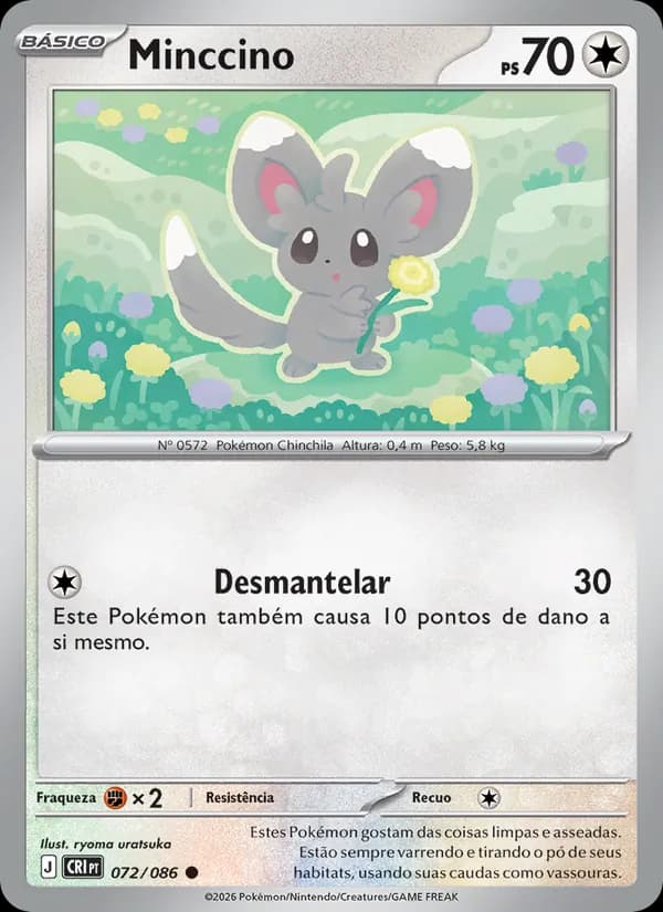 Minccino (72/86)